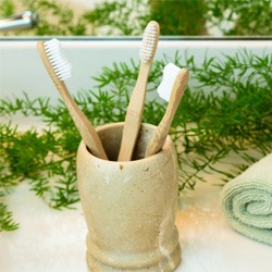 Toothbrushes in cup